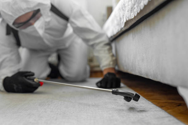 Professional Bed Bug Control technician working in Louisa County County, IA